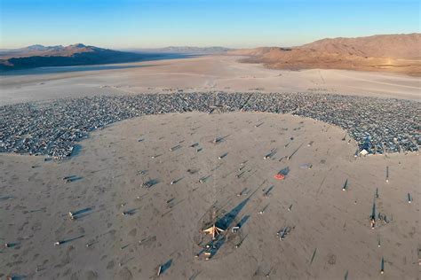 burning man Search